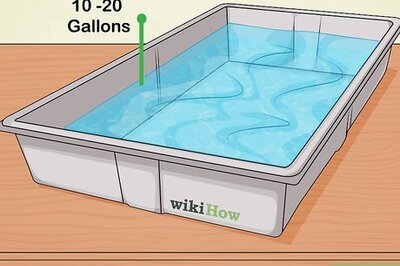 How to Build a Hydroponic Garden