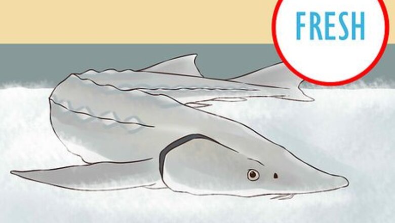 How to Smoke Sturgeon