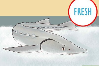 How to Smoke Sturgeon