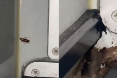 IndiGo Passenger Finds Cockroaches Inside Food Section, Viral Video Gets Airline's Response