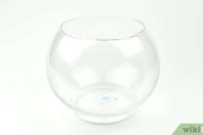 How to Make a Cheap Terrarium