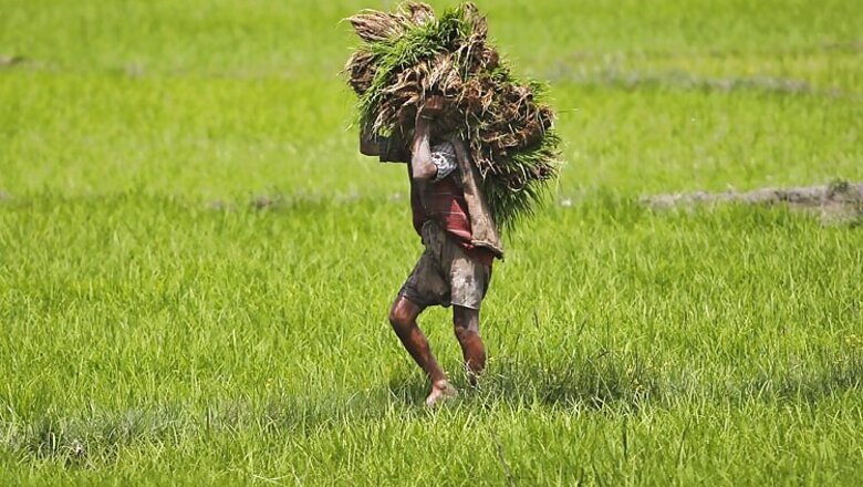 Gujarat farmers to be roped in to tap solar energy
