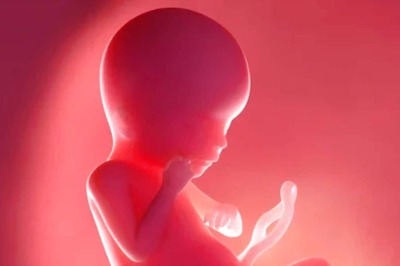 Scientists Develop Mini-organs From Cells Of A Foetus
