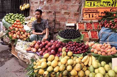 Promote ordinance to stop felling of trees on government lands: AAP