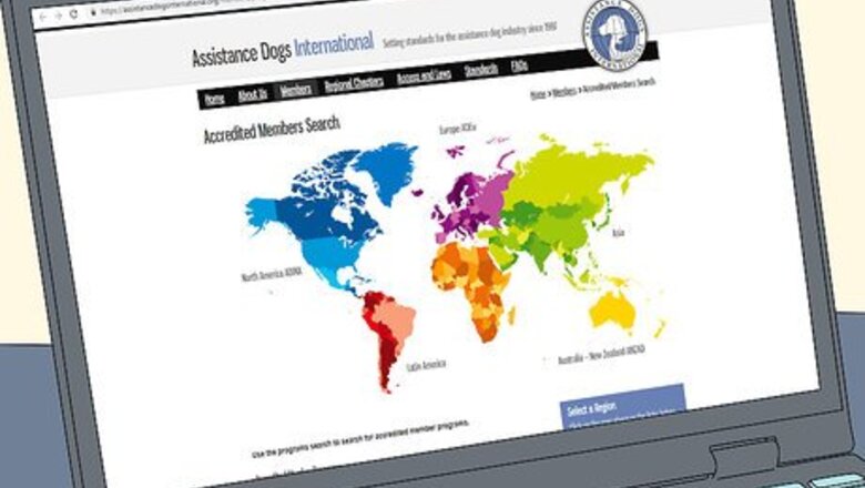 How to Get a PTSD Service Dog