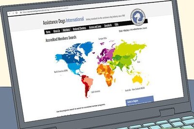 How to Get a PTSD Service Dog