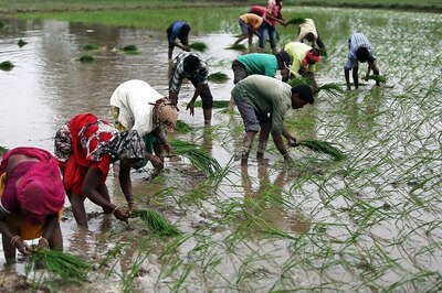 Over 5L Fake Entries Found on PM Kisan Beneficiaries List in Tamil Nadu, Fraudsters Swindle Rs 110 Crore