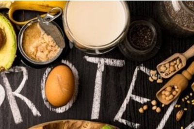 Animal Protein or Plant Protein: Which One is Better