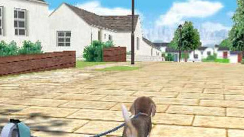 How to Get Rare Items in Nintendogs