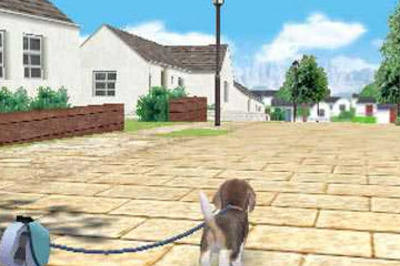 How to Get Rare Items in Nintendogs