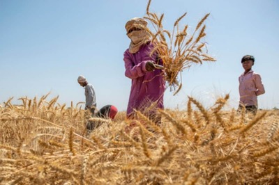 Opinion | Time to Scale up Climate Finances for Adaptation in Indian Agriculture