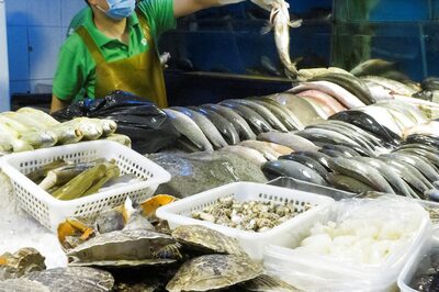 EU Frames Deal To Ban Wildlife Markets, Incentivize Fast Reporting Of New Variants: Report