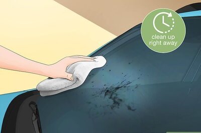 How to Remove Bugs, Tar, and Sap from Your Car
