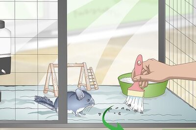 How to Clean a Pet Cage with a Fleece Bottom