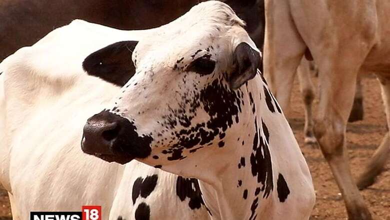 India Carrying out 'Scientific Research' on Cow Dung, Urine: Harsh Vardhan