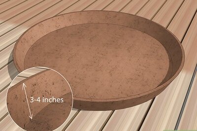 How to Create a Dish Garden