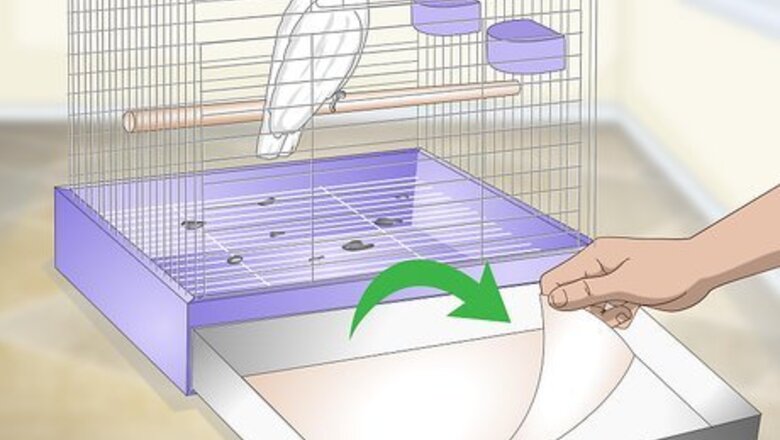 How to Clean a Cockatoo Cage