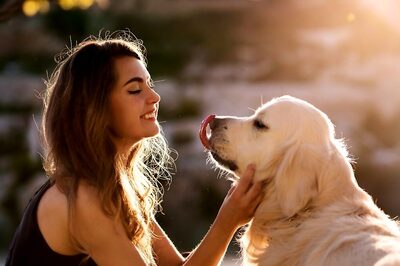 Things to Keep in Mind While Taking Care of Dogs