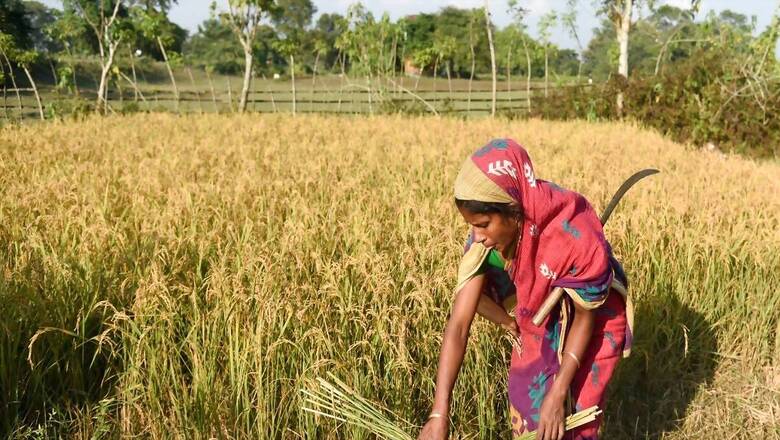 Opinion | Women Farmers And Technology: Key to Driving Agri Revolution in India