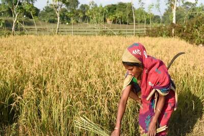 Opinion | Women Farmers And Technology: Key to Driving Agri Revolution in India