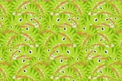 Spot The Crocodile Hidden Among Green Iguanas; You Have 5 Seconds