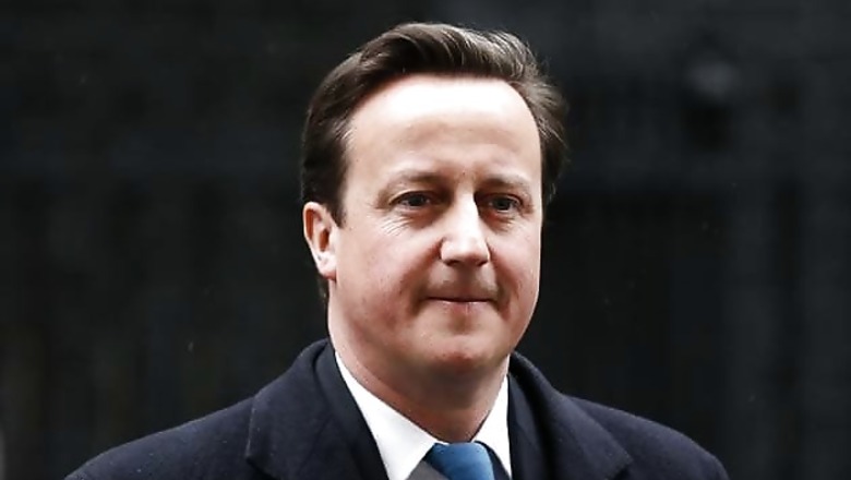 David Cameron brands Fox News terror expert an 'idiot'