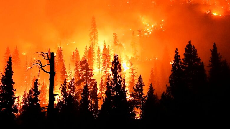 No End To Greek Inferno As Wildfires Rage Into The Night