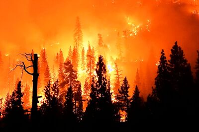 No End To Greek Inferno As Wildfires Rage Into The Night