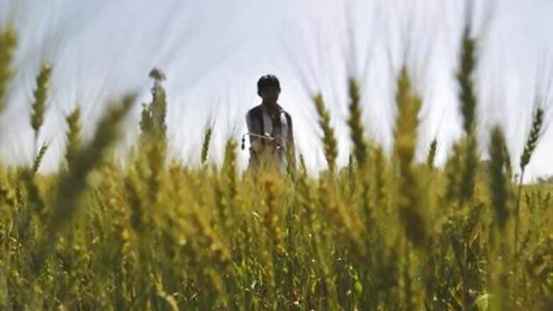 Government procures 72 lakh MT of wheat from 10 lakh farmers