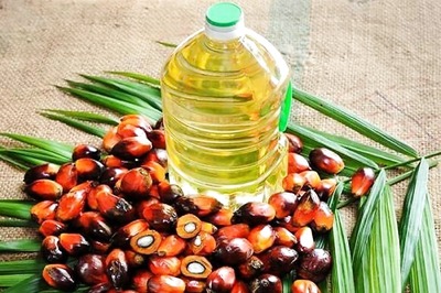 Govt Cuts Import Duty on Refined Palm Oil to 10% Till December