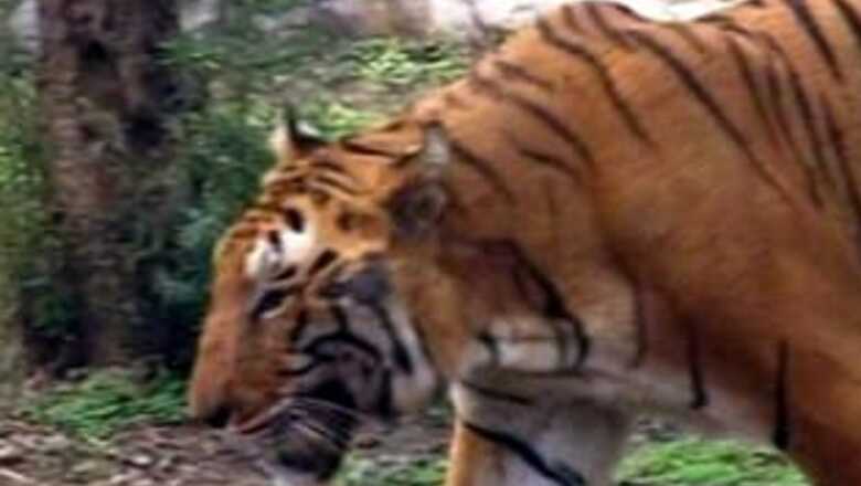 Bahar Dutt conferred with RBS Wildlife Awards