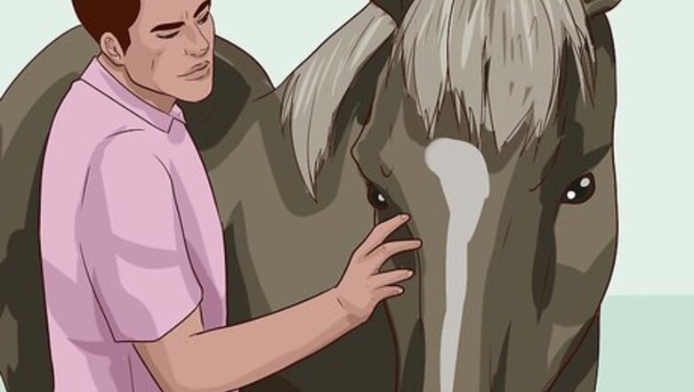How to Break a Horse