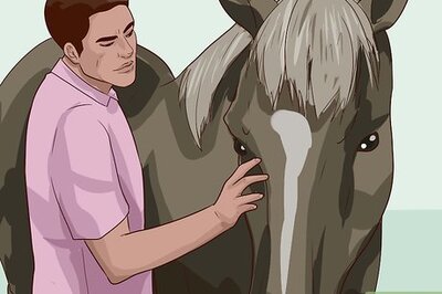 How to Break a Horse