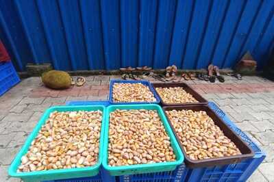How Jackfruit Seeds Became A Lucrative Business For This Karnataka Man