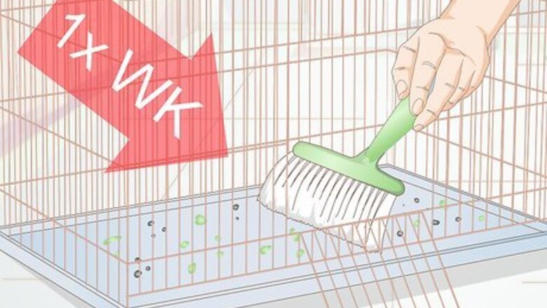 How to Keep Flies out of an Indoor Pet Cage