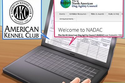 How to Enter a Dog in an Agility Trial