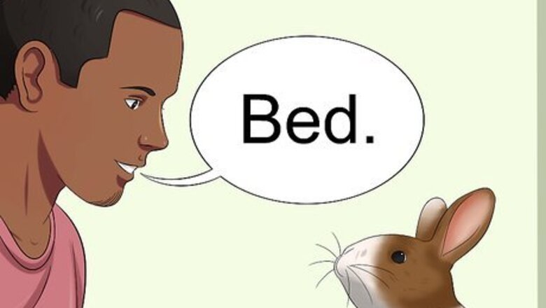 How to Teach Your Rabbit to Go Back to His Hutch