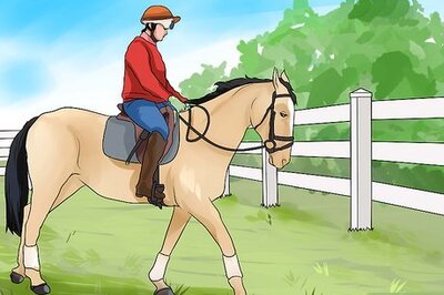 How to Teach Your Horse to Turn on the Forehand