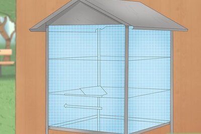 How to Care for Mynah Birds