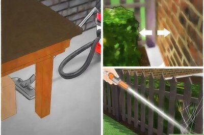 How to Kill Black Widow Spiders