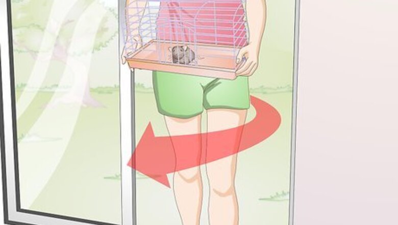 How to Keep Mice Cool in Hot Weather