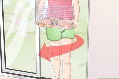 How to Keep Mice Cool in Hot Weather