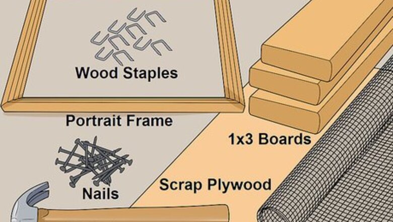 How to Plant a Living Picture with Plants