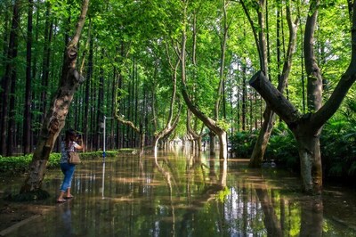 Walk In Nature And Beat The Summer Heat