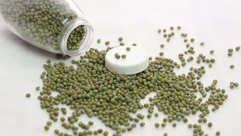 How to Make a Seed Sprouter at Home