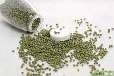 How to Make a Seed Sprouter at Home