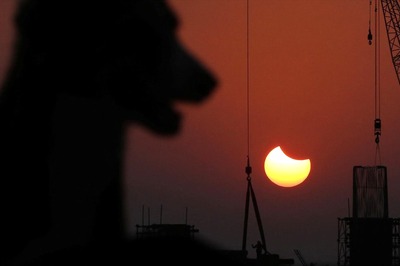 Dog, 2 Bikes Fall Into Pit as Road Caves in Delhi