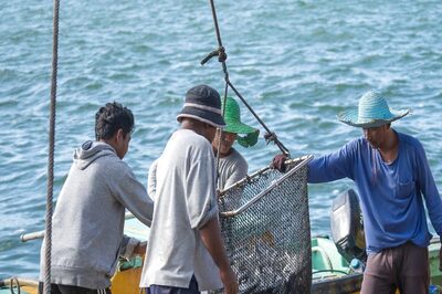 Opinion | Two in a Row, and Centre’s View can Risk Sri Lanka Fishers’ Issue Even More