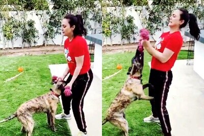Preity Zinta Uses Pet Pup Bruno as Weight in Funny Workout Video
