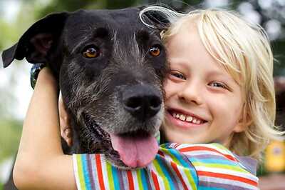 Food Allergies May Affect Your Pet Dogs, Cats Too